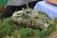 SIMA2015-Expo-diorama-061 {JPG}